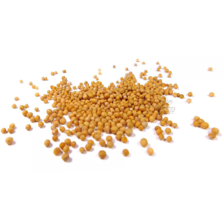 GORCZYCA BIAŁA ZIARNO 100g